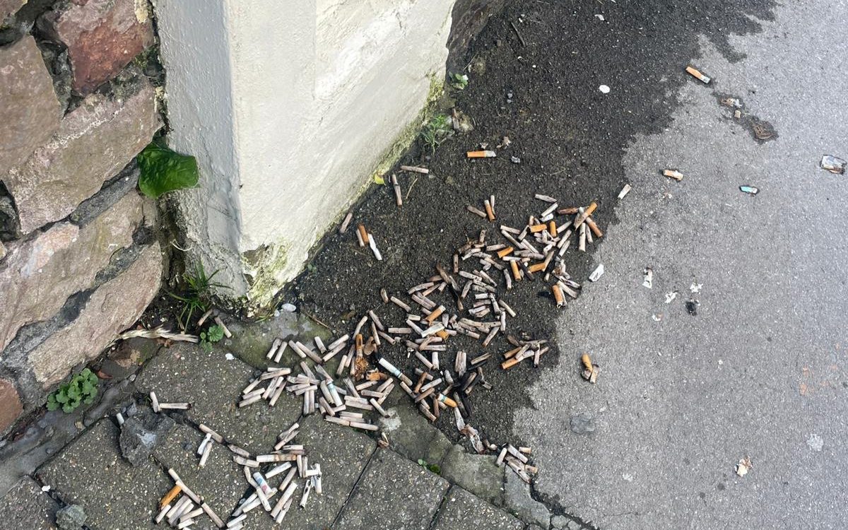 Picture shows dozens of cigarette butts on the ground