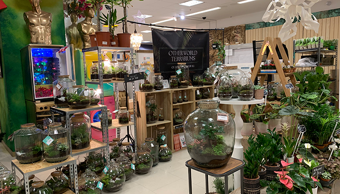 Terrarium store in Sparks