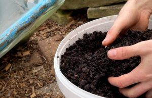 How happy soil can save your family £1000 a year