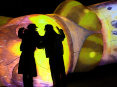 Bristol Light Festival launches with 10 unique displays